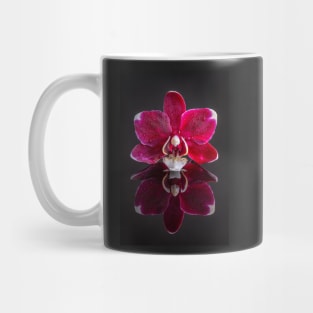 Pink Orchid Reflection with Raindrops Mug